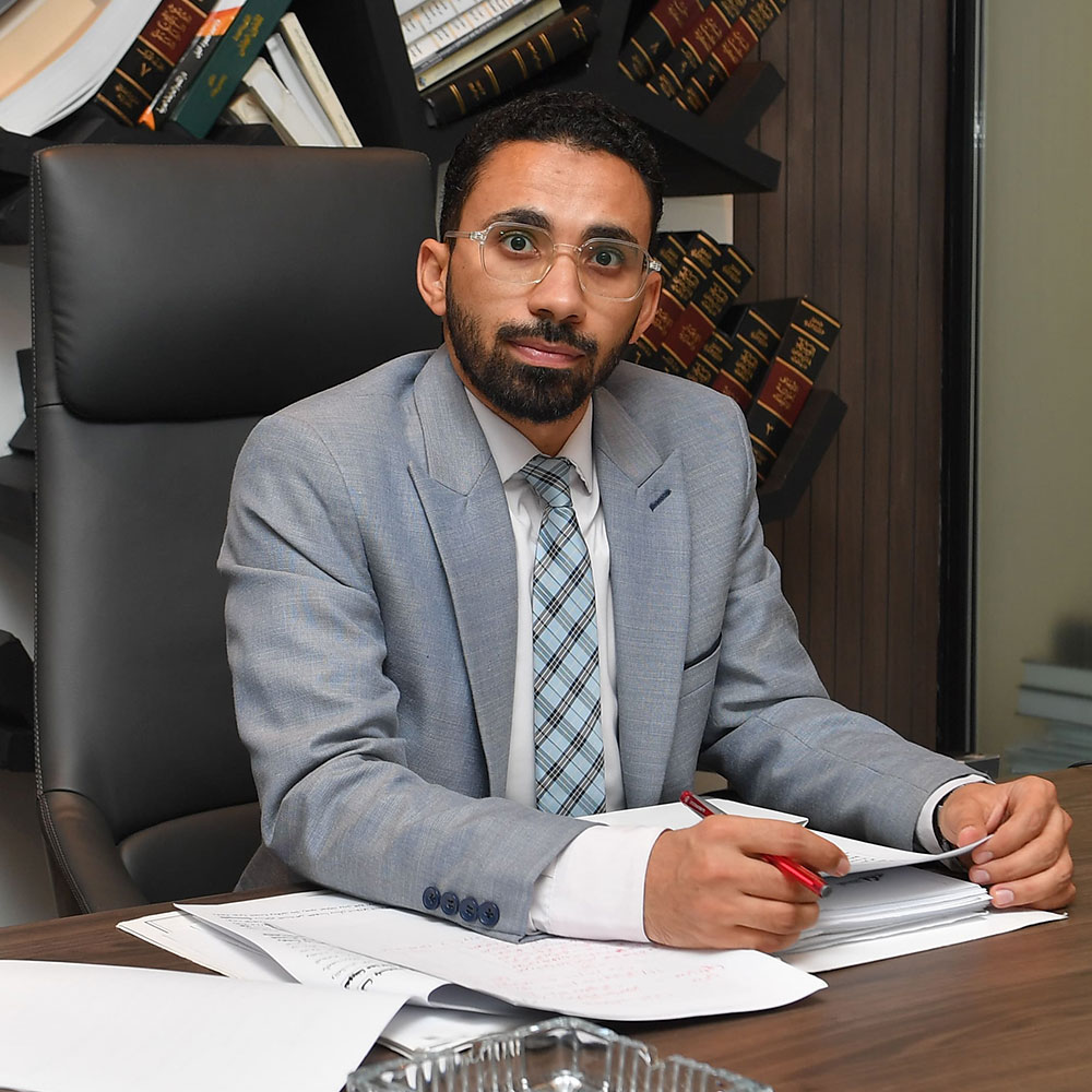 المستشار محمد ابراهيم 